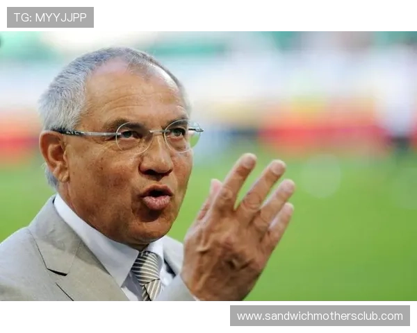 法马青训实力持续提升，年轻球员表现稳健