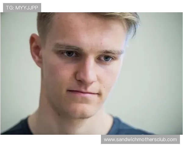 厄德高个人表现与团队成绩的生涯评估